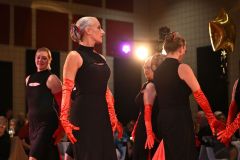 DWTSS-2023-KBP-5011edit